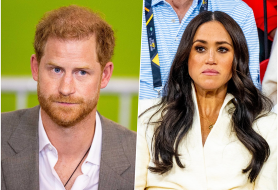 prince harry and meghan markle stupidity