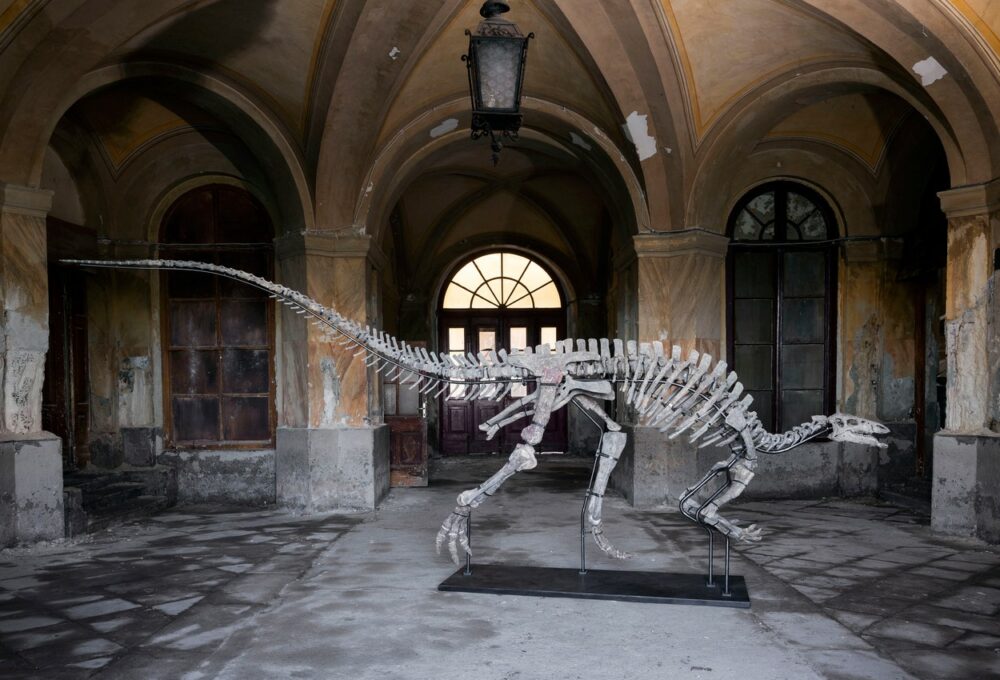 fosil dinosaura