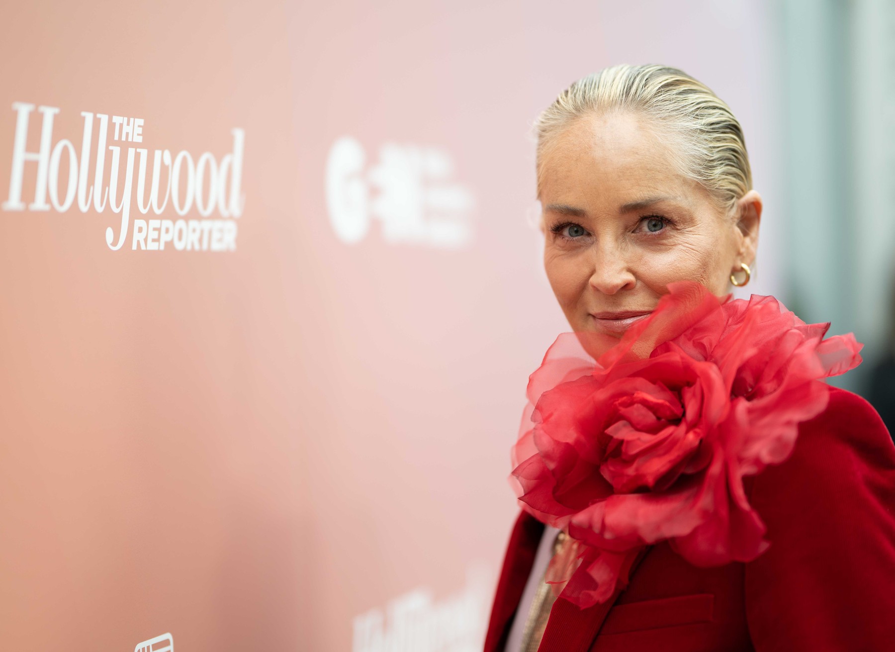 umjetnost sharon stone