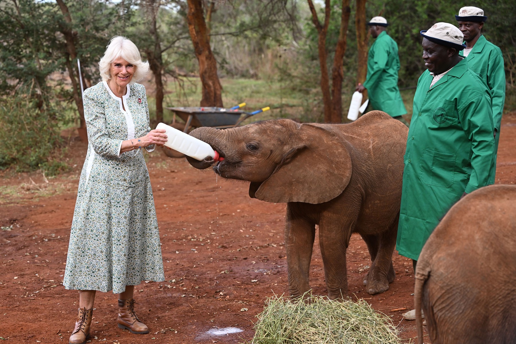 Kralj Charles i Camilla u Keniji