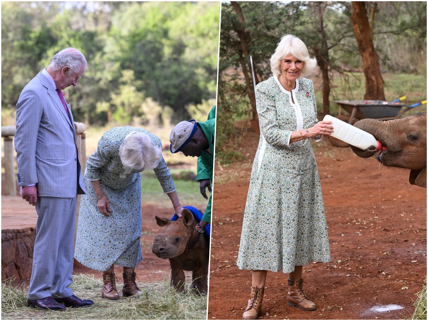 Kralj Charles i Camilla u Keniji