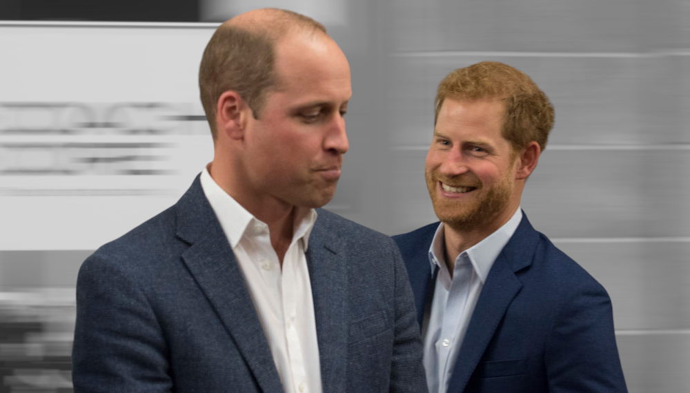 princ William princ Harry kraljevska dužnost