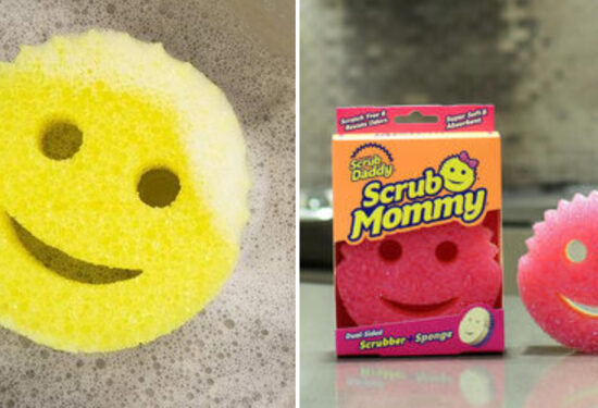 čišćenje spužvice scrub daddy plodine hello croatia hrvatska spužvice scrub mommy i scrub daddy