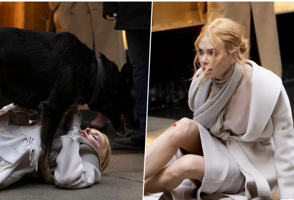 Nicole Kidman Babygirl