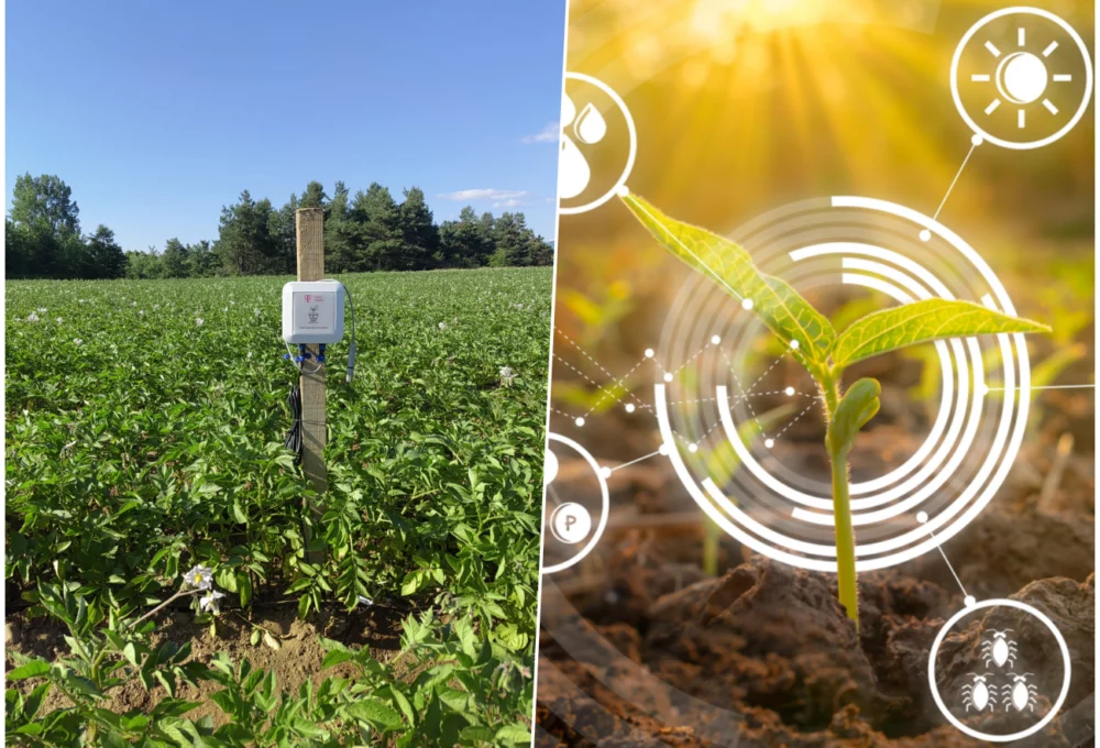 Pametna poljoprivreda