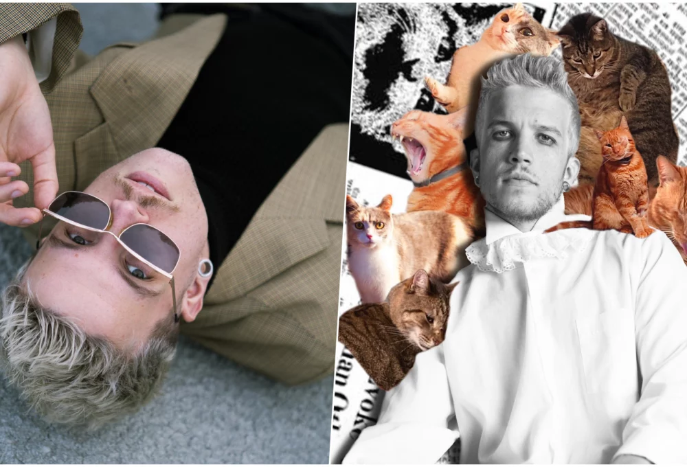 Baby Lasagna, mačka