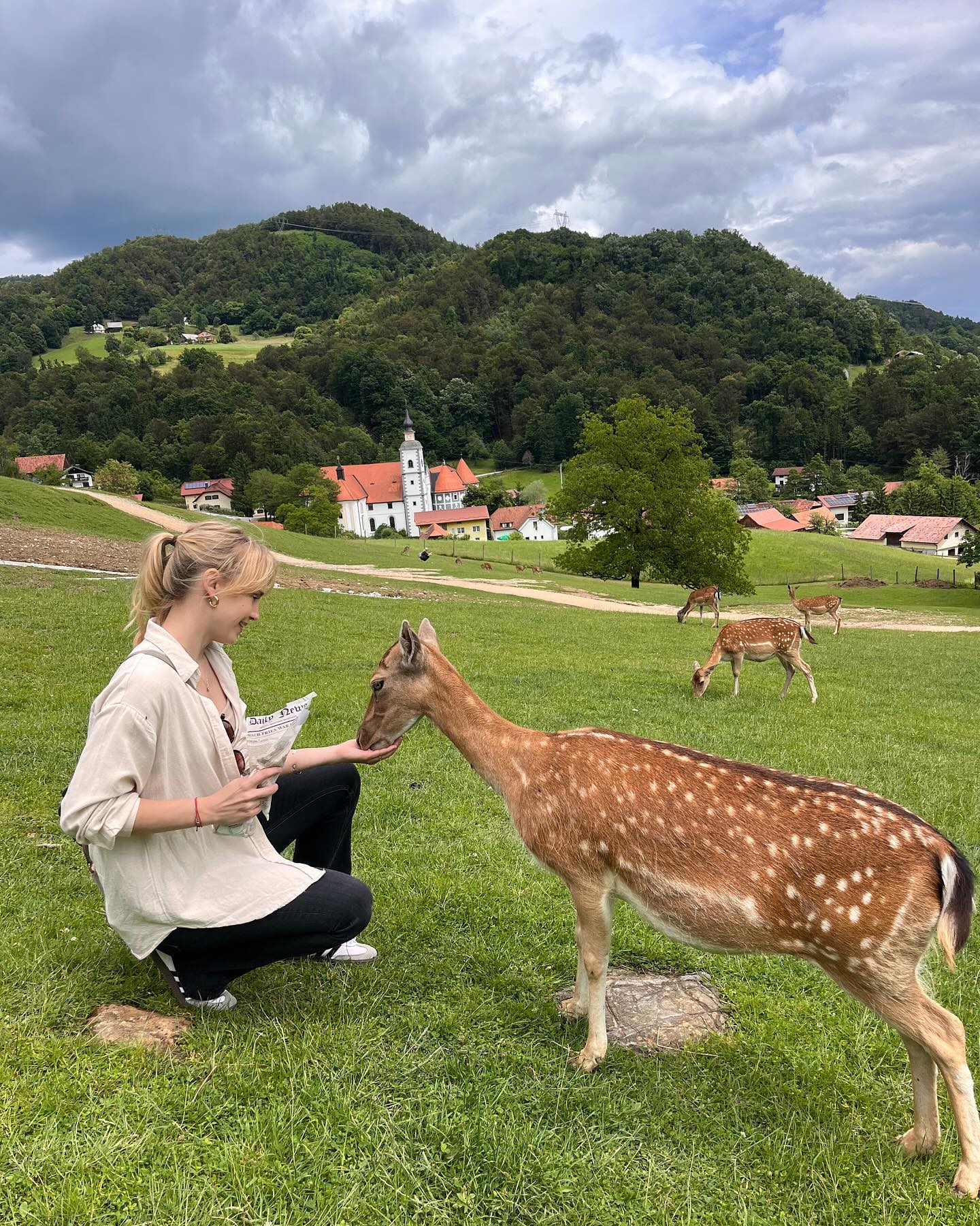 divlje životinje srne hranjenje