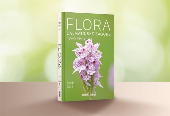 Flora Dalmatinske zagore