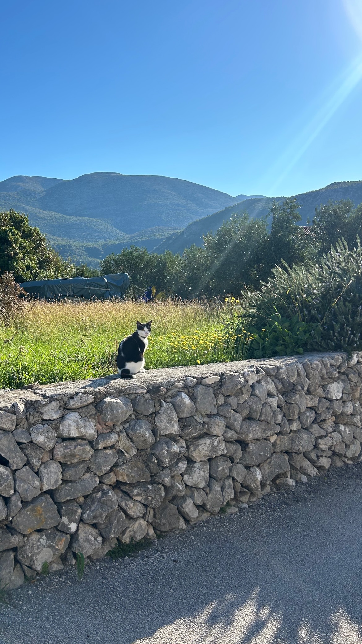 mediteranski stil života