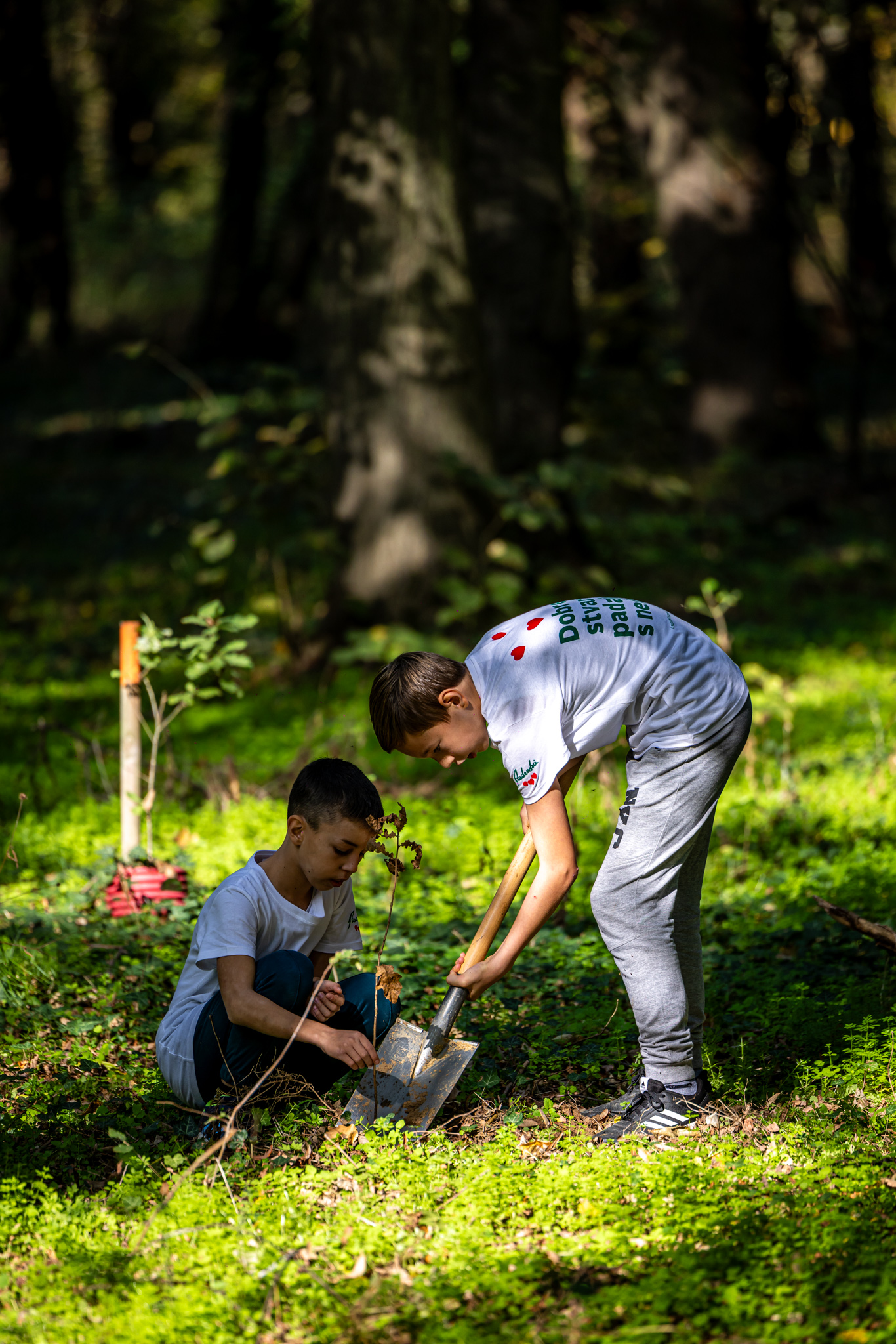 pošumljavanje Vukovara, Radenska Adriatic, Project O2, održivi razvoj, Dobre stvari padaju s neba, sjemenske bombice, dronovi, sadnja stabala, autohtone vrste, ekološki projekti, zajednica, Vukovarski leptirići, Osnovna škola Blage Zadre, Green building, očuvanje prirode, kampanja Srcem za sutra