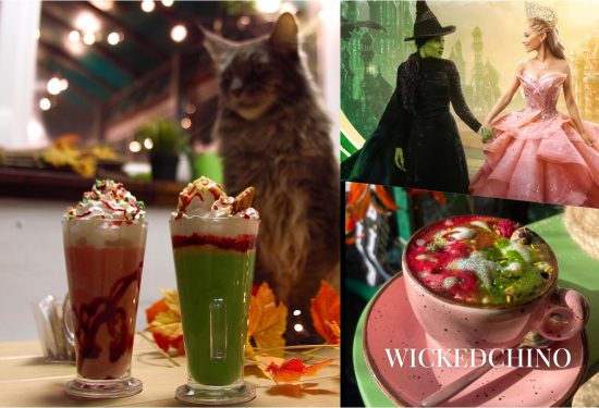 Wicked u kafiću Cat Caffe hello magazine croatia hrvatska kava kafić s mačkama zagreb