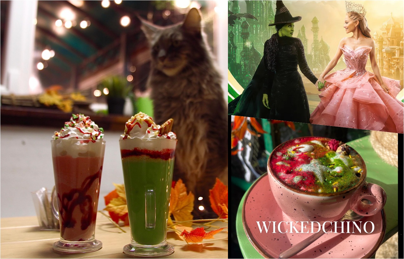 Wicked u kafiću Cat Caffe hello magazine croatia hrvatska kava kafić s mačkama zagreb