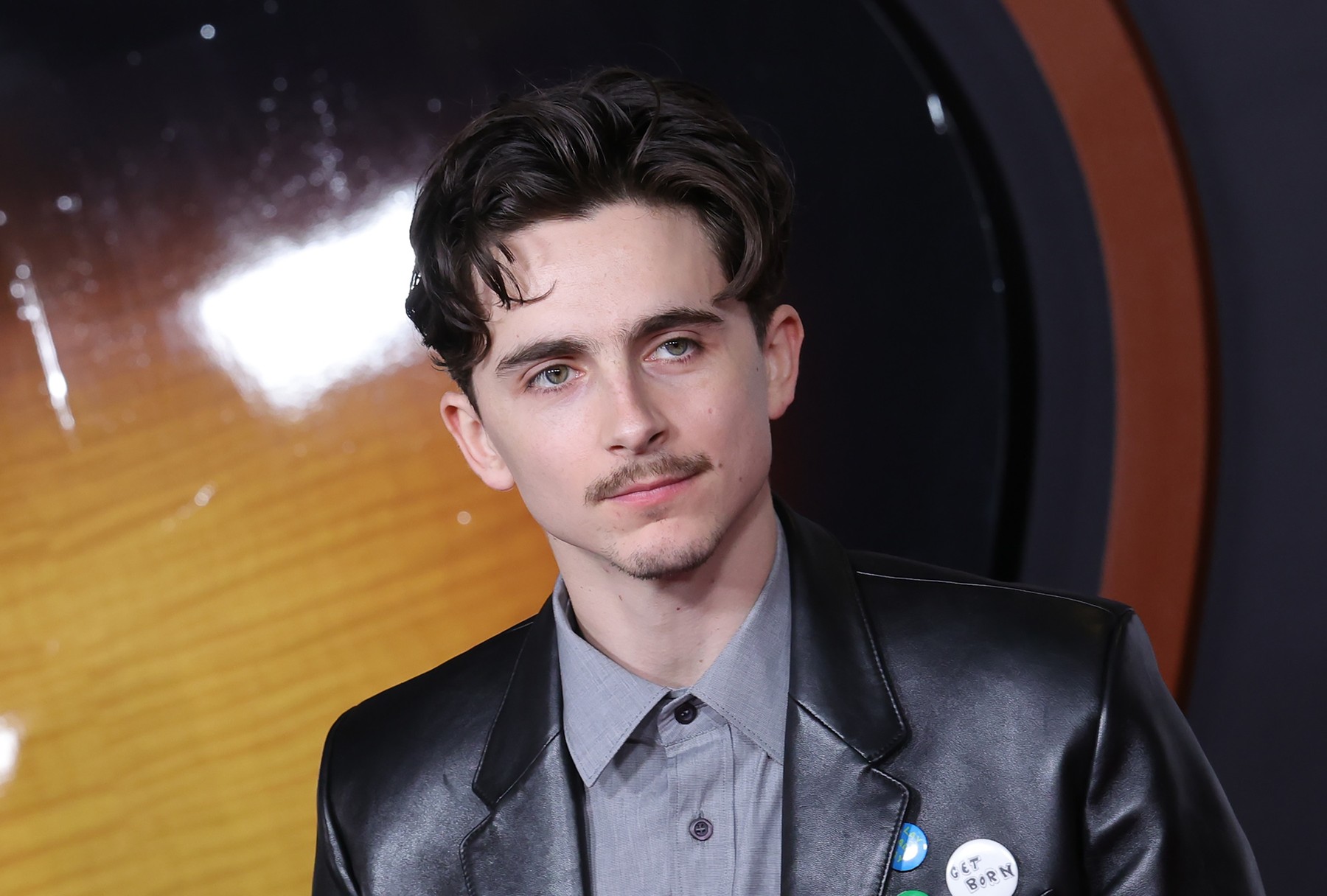 timothee chalamet