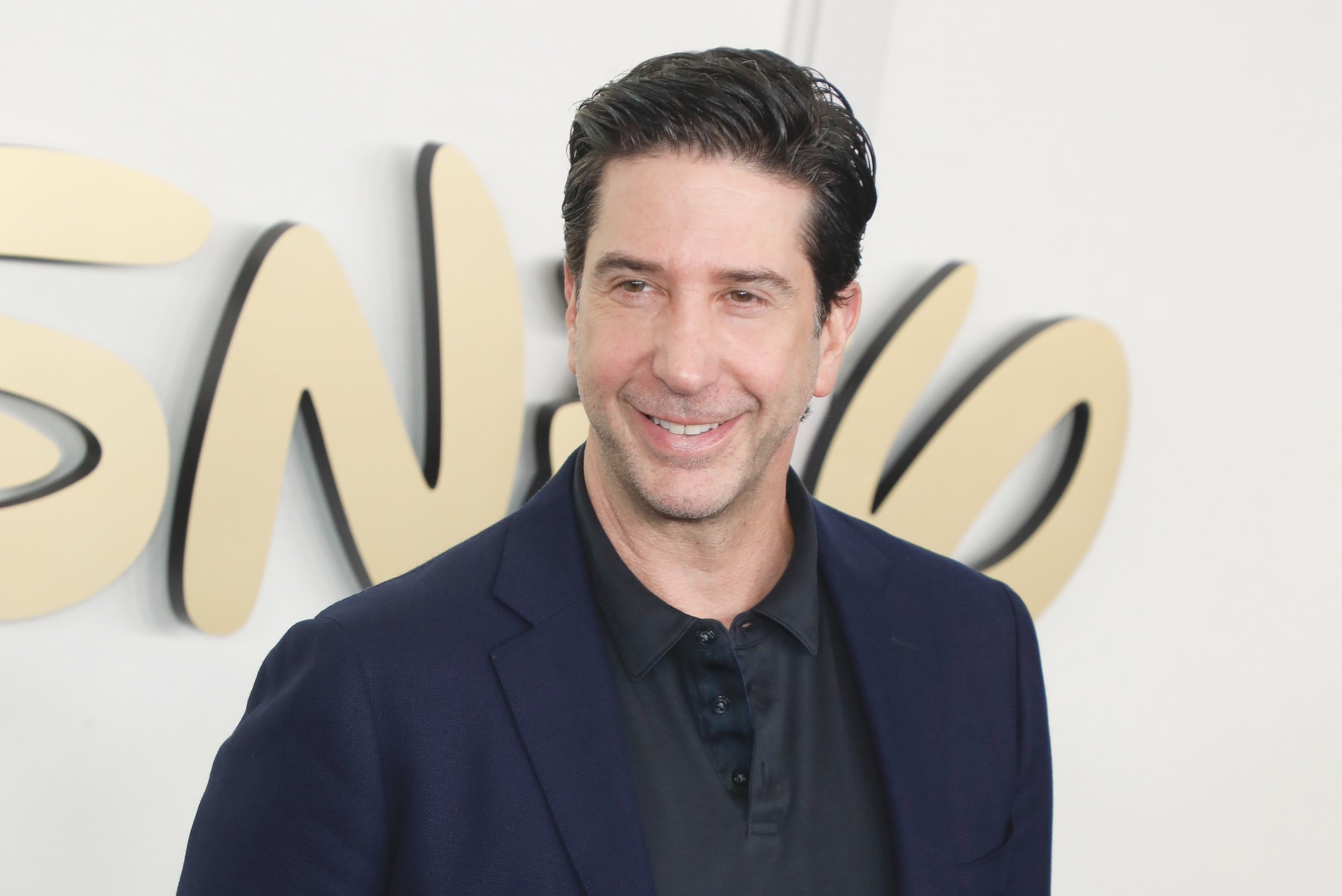 david schwimmer