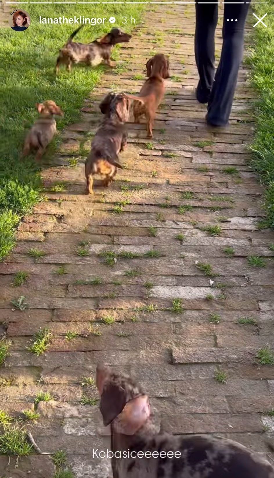 Lana Klingor Mihić život van grada