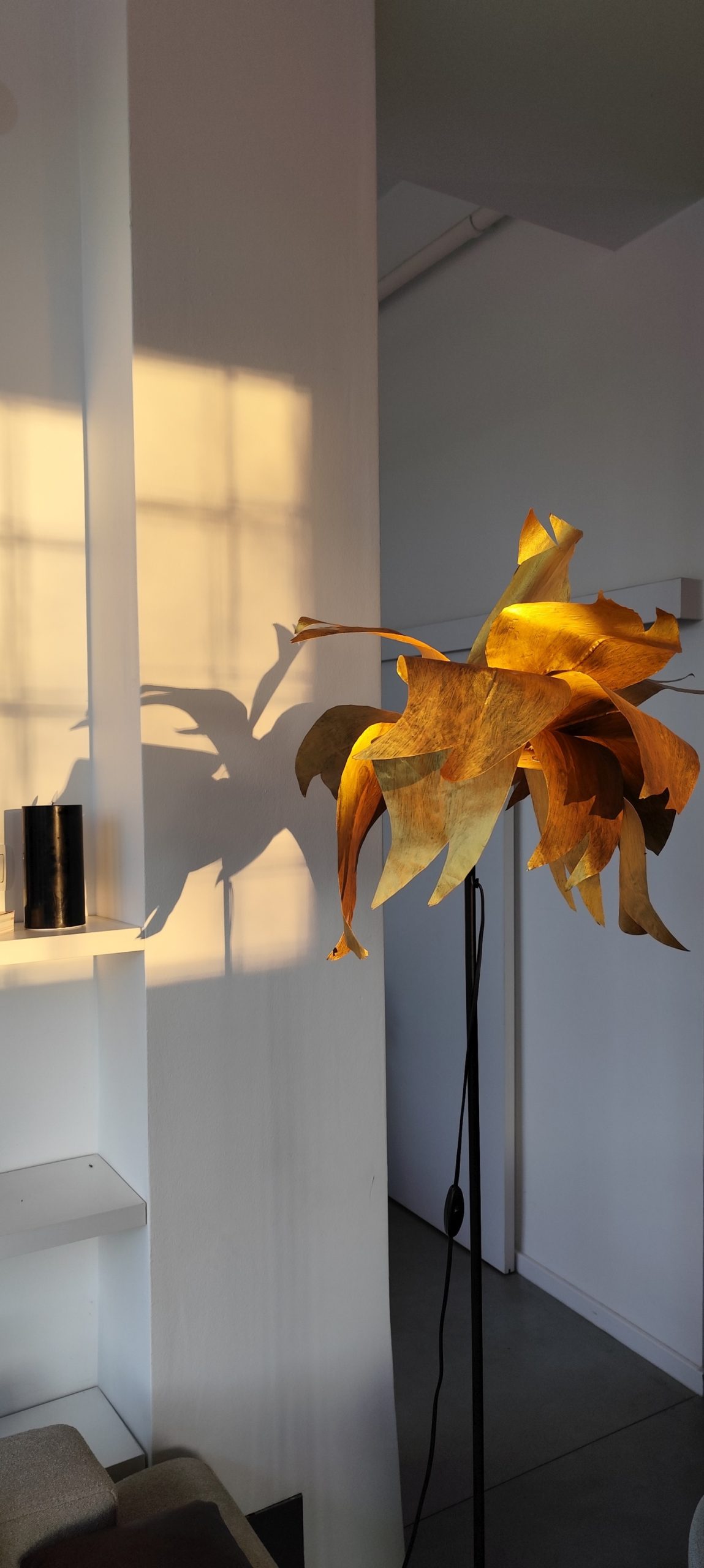 lampe