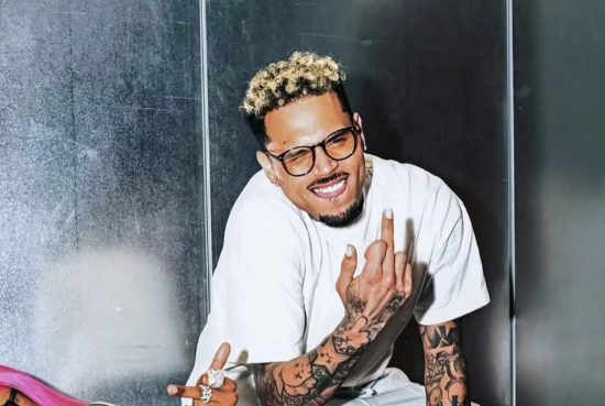 chris brown suđenje