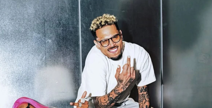 chris brown suđenje