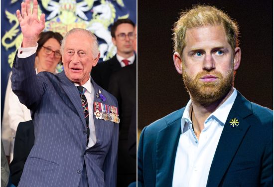 kralj charles princ harry