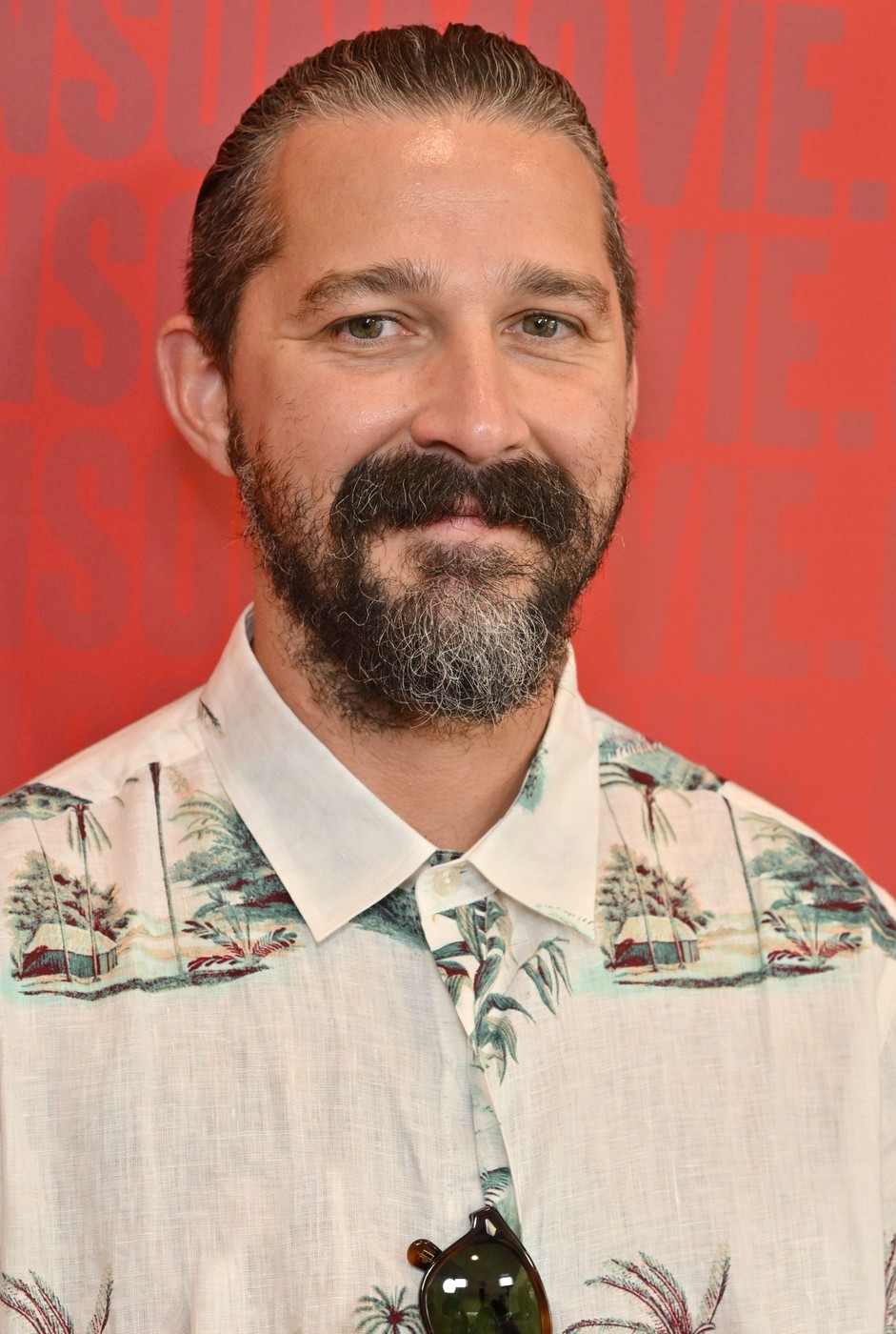 shia labeouf