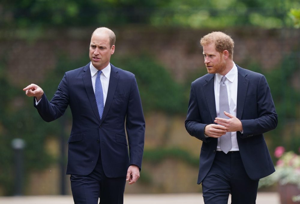 Princ William i Harry u šoku