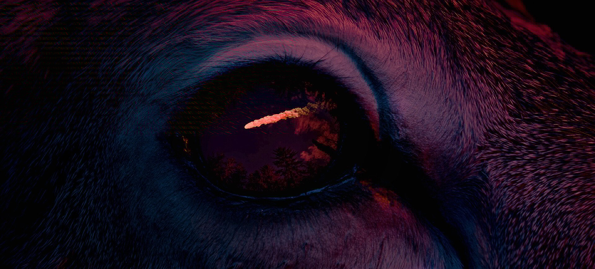 Splitski Filmski Festival time još jednom dokazuje da film može biti mnogo više od projekcije – on je dijalog, istraživanje i iskustvo koje spaja autore, publiku i grad u cjelinu. Rujan u Splitu rezerviran je za one koji žele vidjeti svijet drugačijim očima