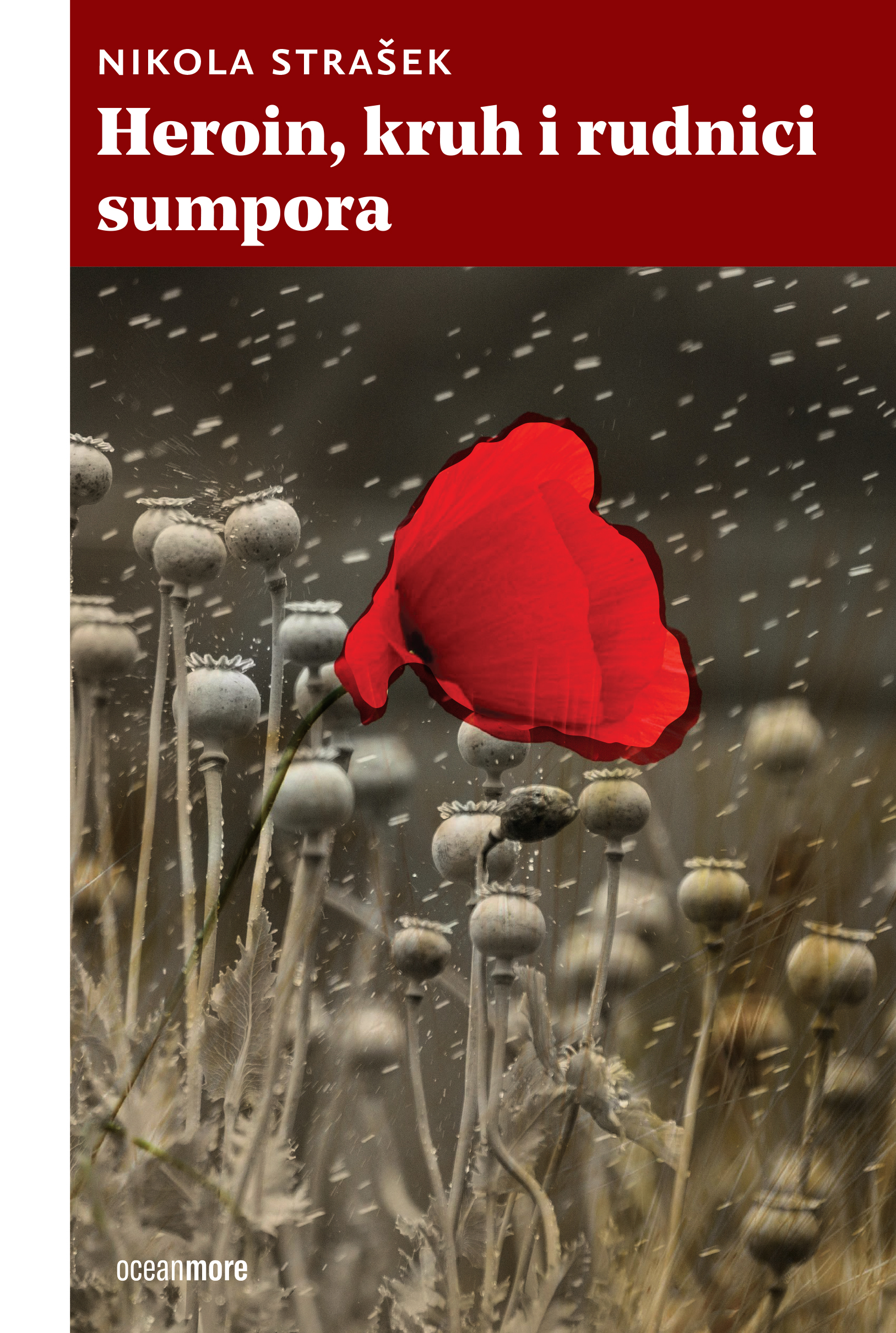 Nikola Strašek Heroin, kruh i rudnici sumpora