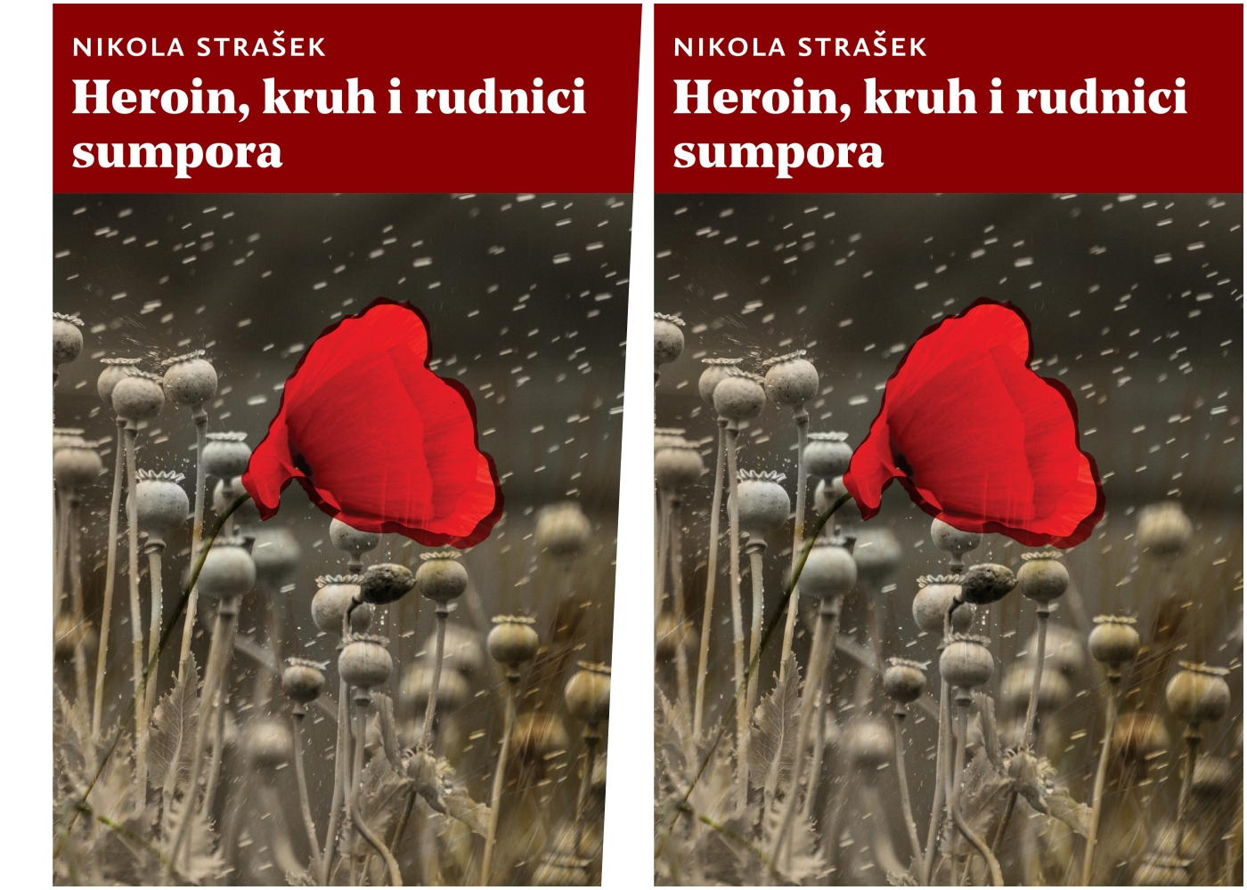 Nikola Strašek Heroin, kruh i rudnici sumpora