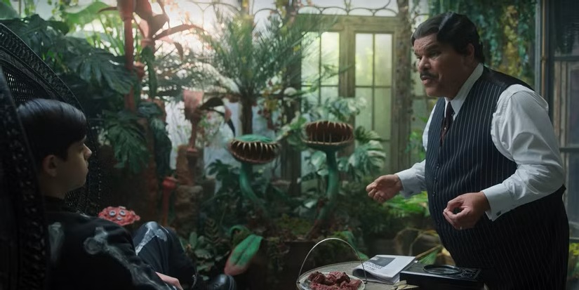 Hester & Ophelia Weren't Wednesday S2's Only New Missing Addams Family Members 