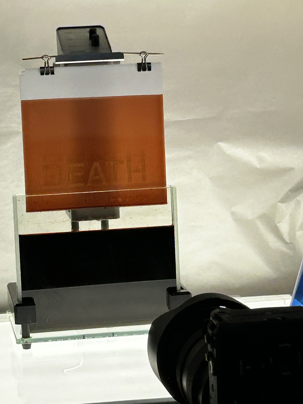 Najava izložbe_Silvio Vujičić:Nokturno_Botanički vrt
