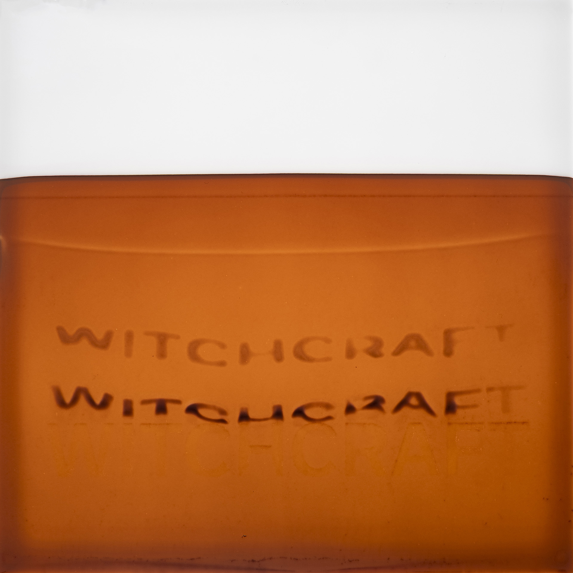 Najava izložbe_Silvio Vujičić:Nokturno_Botanički vrt
