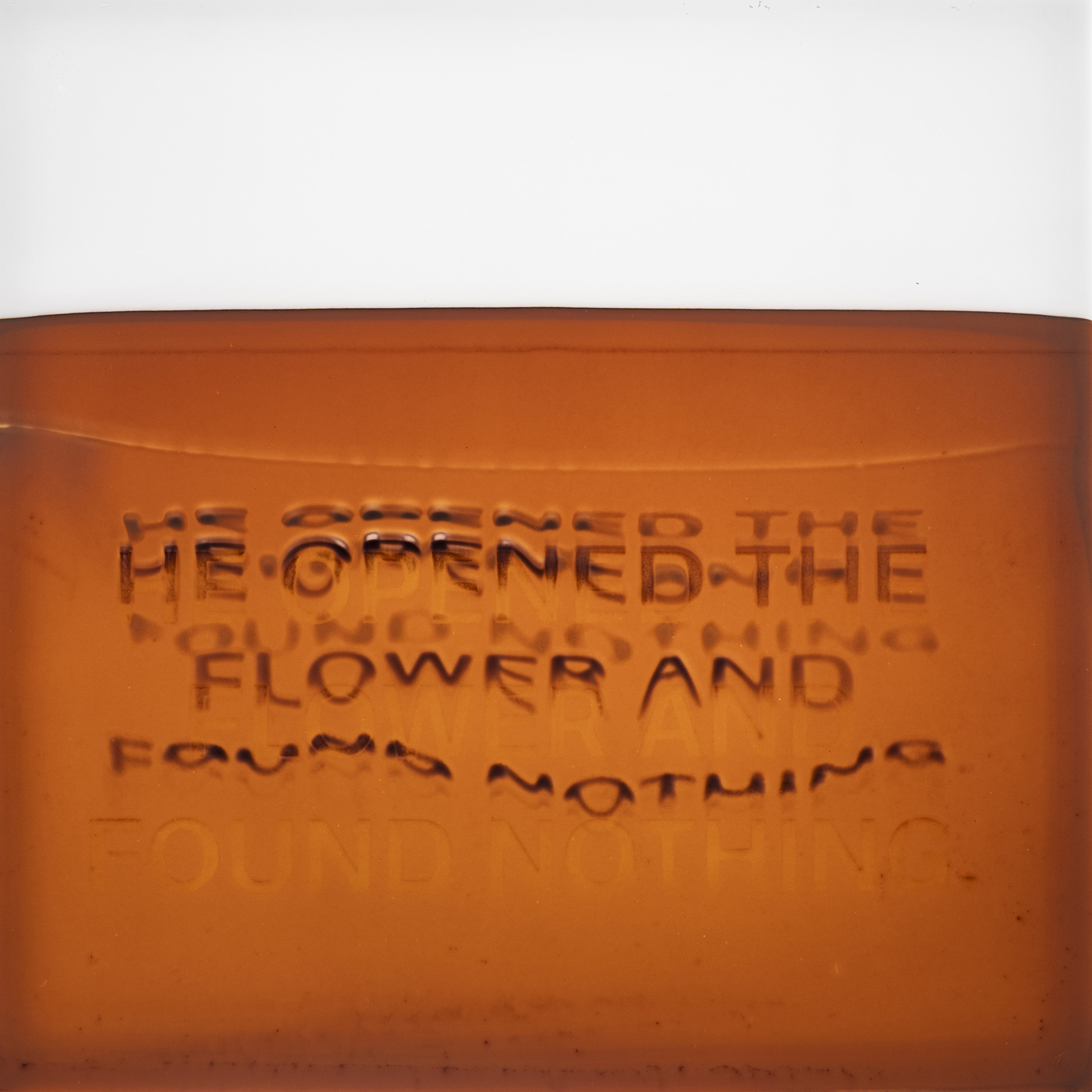 Najava izložbe_Silvio Vujičić:Nokturno_Botanički vrt
