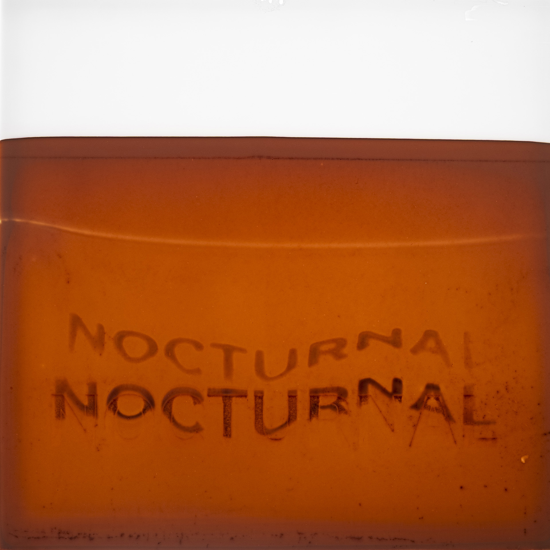 Najava izložbe_Silvio Vujičić:Nokturno_Botanički vrt