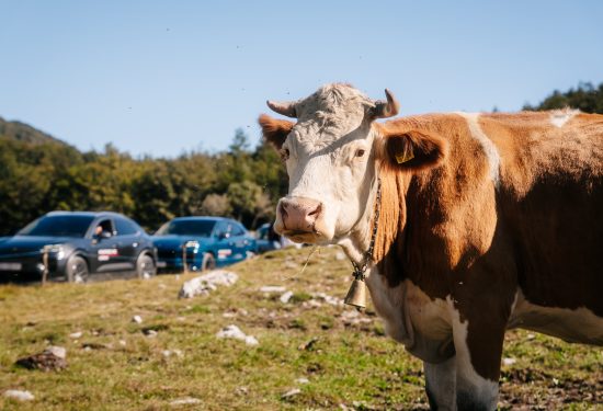 Sirova snaga SUV-a na surovom i predivnom Platku