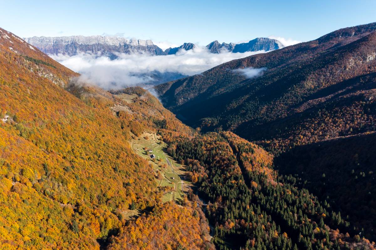 Autumn in full colour: five of the most beautiful autumn foliage walks in Friuli Venezia Giulia 