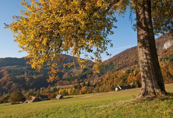 Autumn in full colour: five of the most beautiful autumn foliage walks in Friuli Venezia Giulia