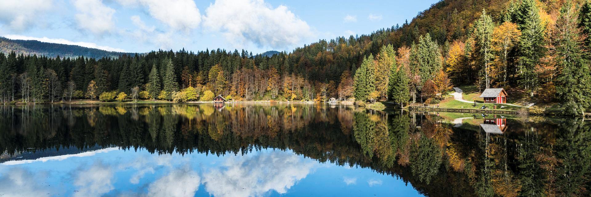 Autumn in full colour: five of the most beautiful autumn foliage walks in Friuli Venezia Giulia 