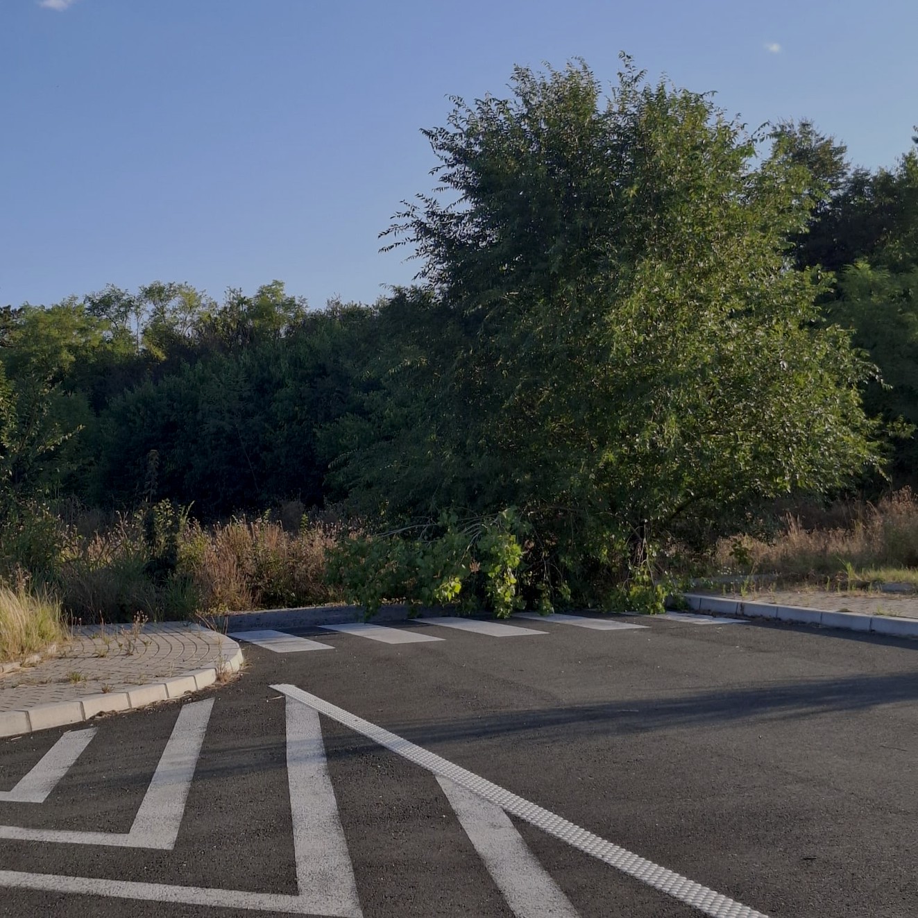 Izložba WHW Akademije u u GMK: Pokret, ostanak, povratak kao kritika graničnih režima │ PET, 24/10 u 19h 