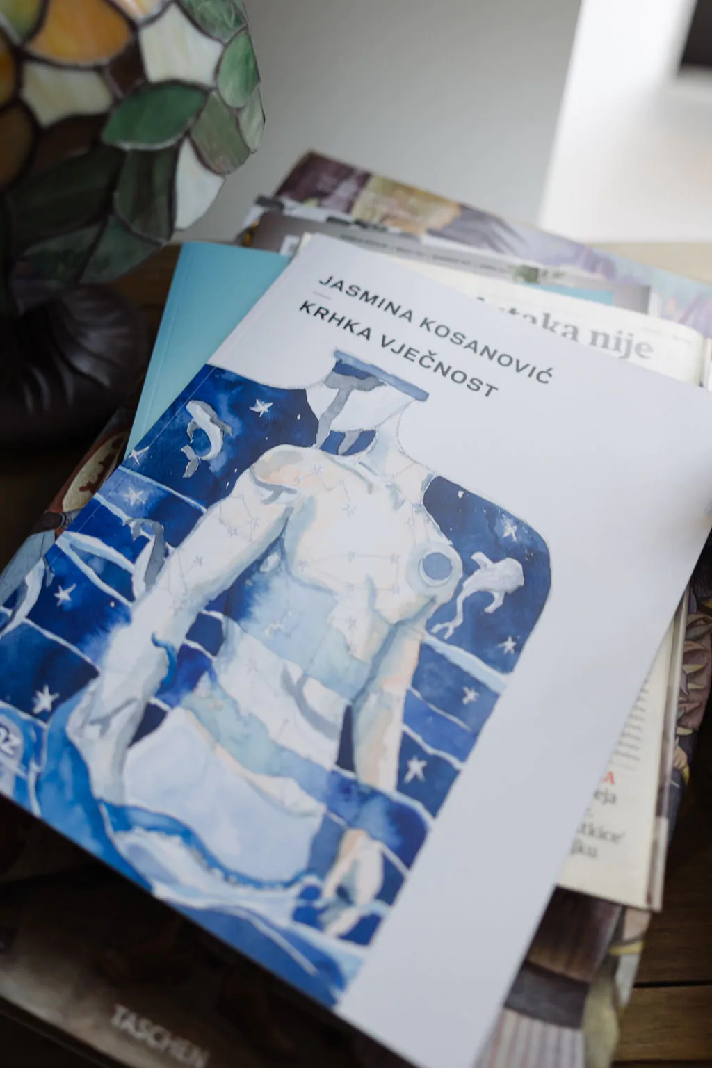 Jasmina Kosanović o svijetu nježnosti nasuprot grubosti 