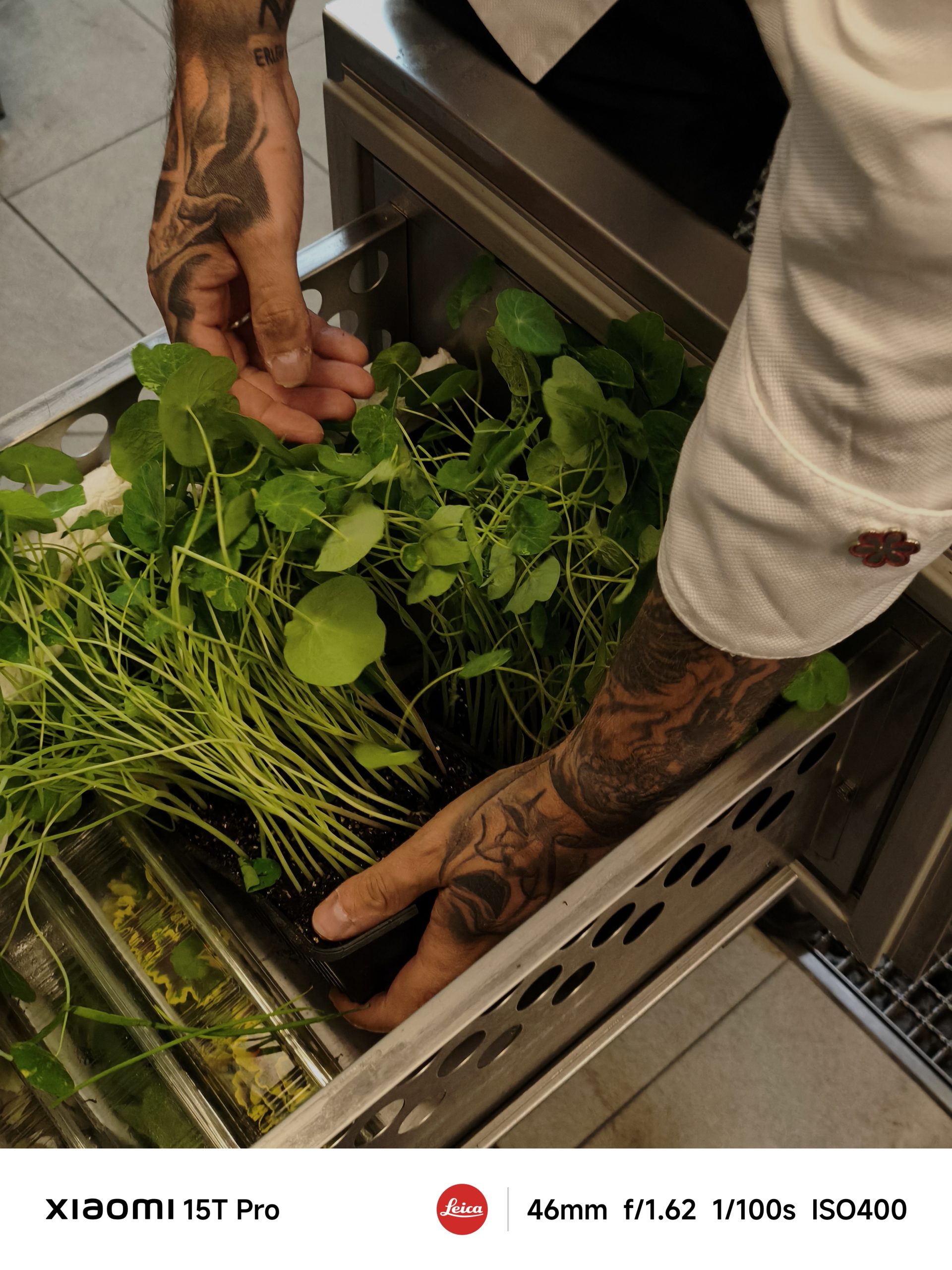 Mario Mandarić Između vrhunske kuhinje i dječačkog sna o letenju