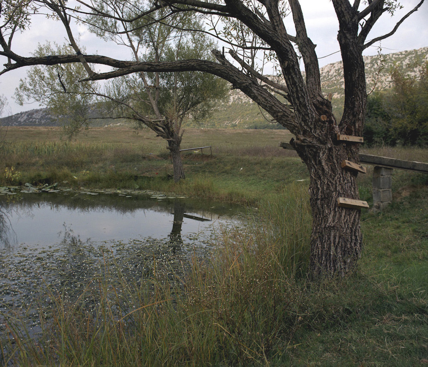 Međunarodna izložba Na izmaku svitanja u Etnografskom muzeju o identitetu, kolonijalnom naslijeđu i novim oblicima solidarnosti