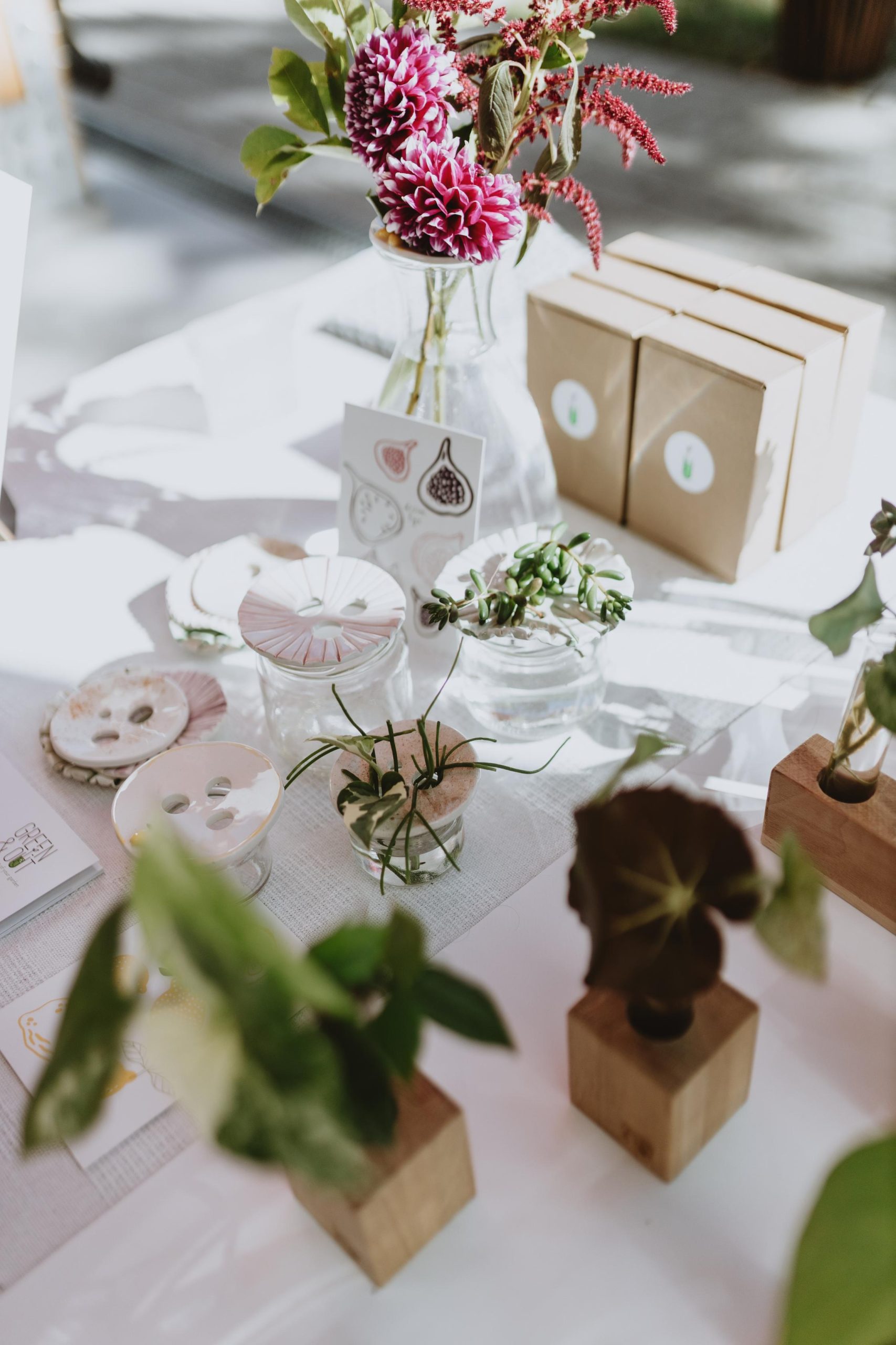 Plant market ovog vikenda dolazi na Trešnjevku