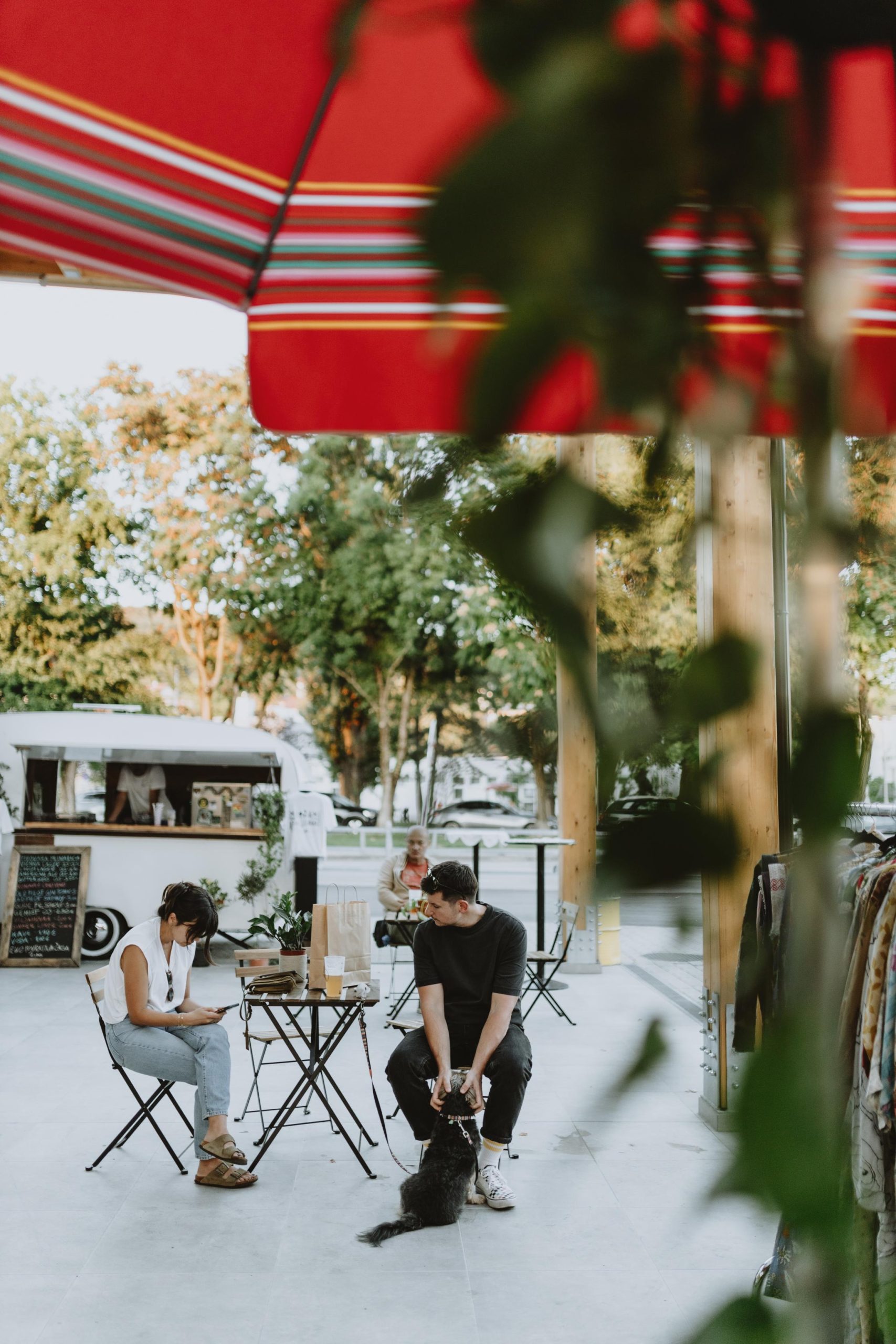 Plant market ovog vikenda dolazi na Trešnjevku