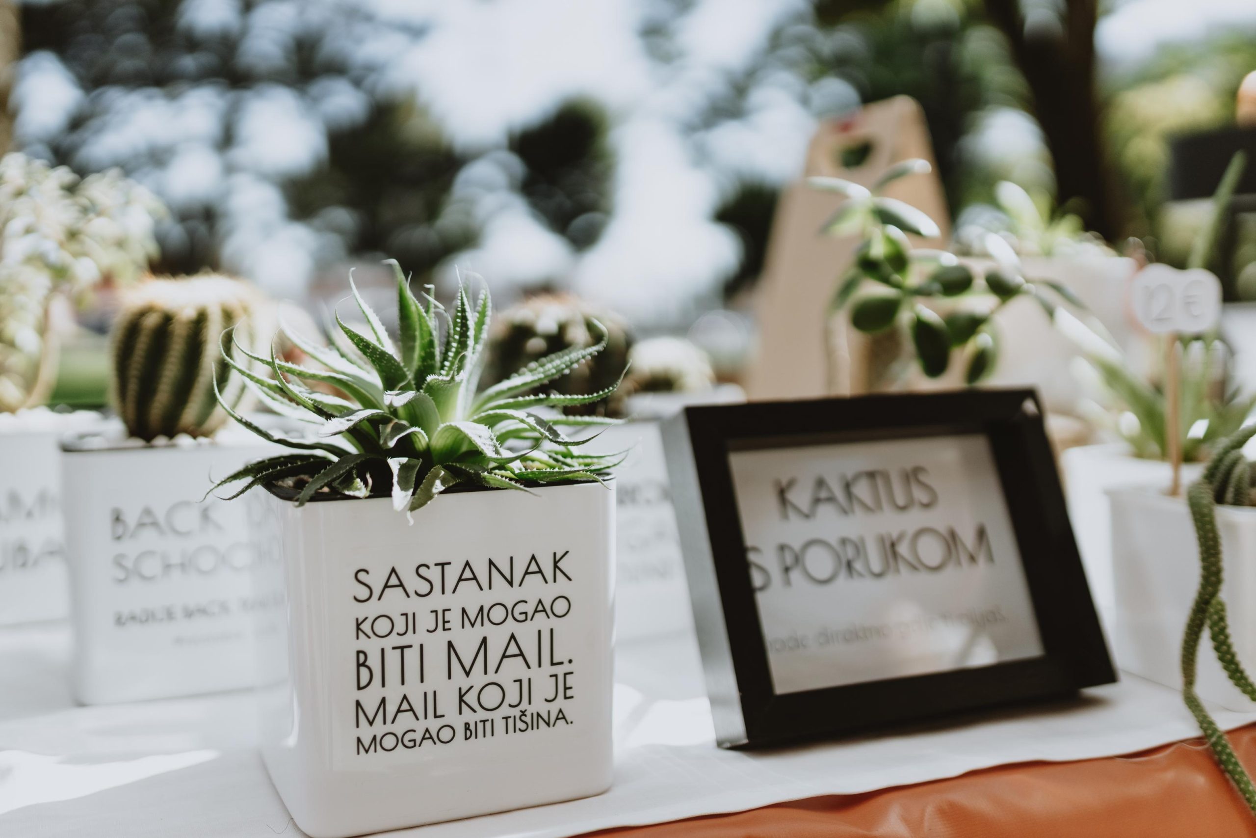 Plant market ovog vikenda dolazi na Trešnjevku