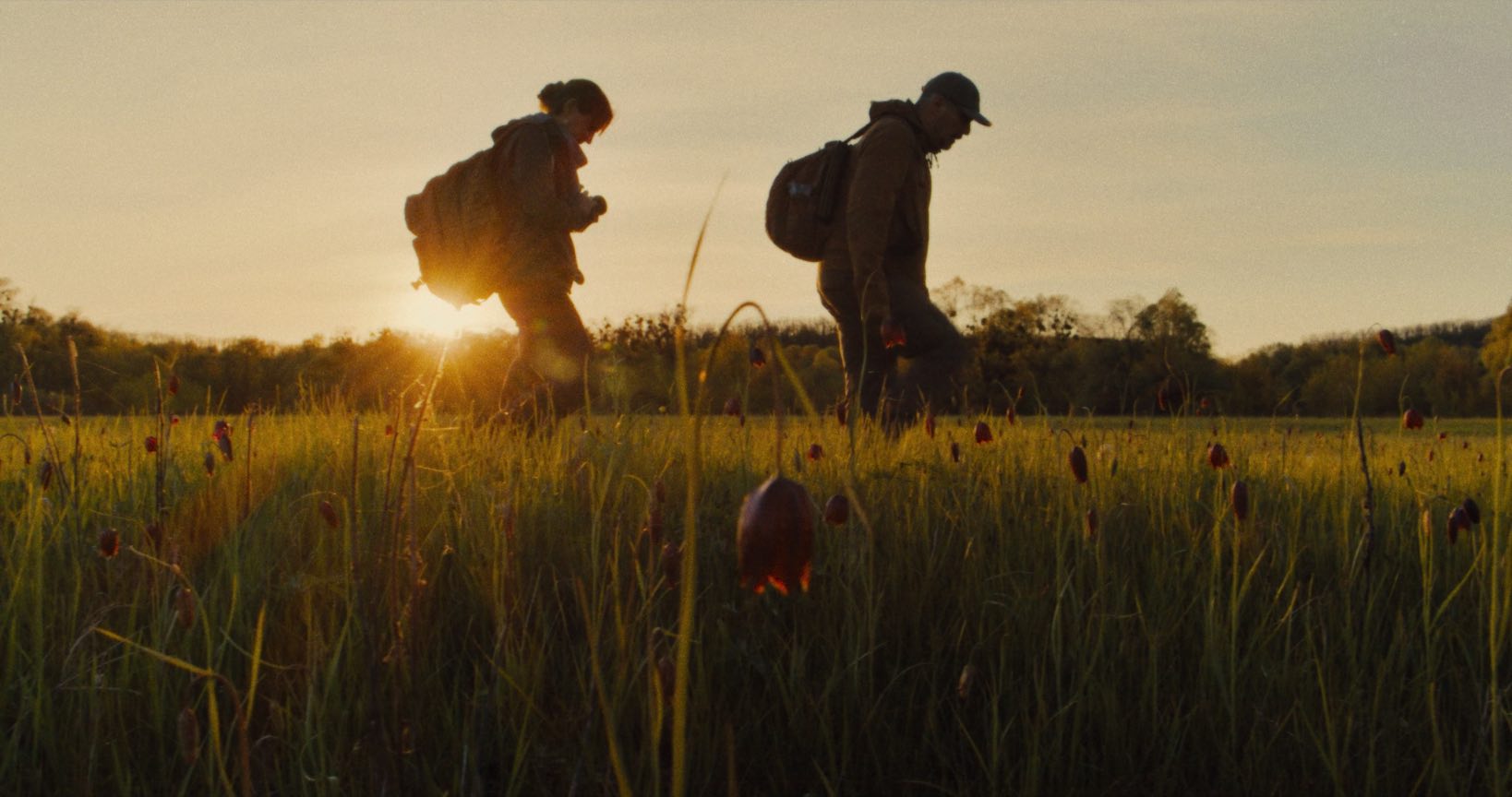 SUTRA POČINJE 19. FESTIVAL TOLERANCIJE U ZADRU Četiri dana filmskih premijera, glazbe, dijaloga i edukacije u kojima umjetnost spaja generacije, potiče empatiju i promiče razumijevanje, solidarnost i zajedništvo