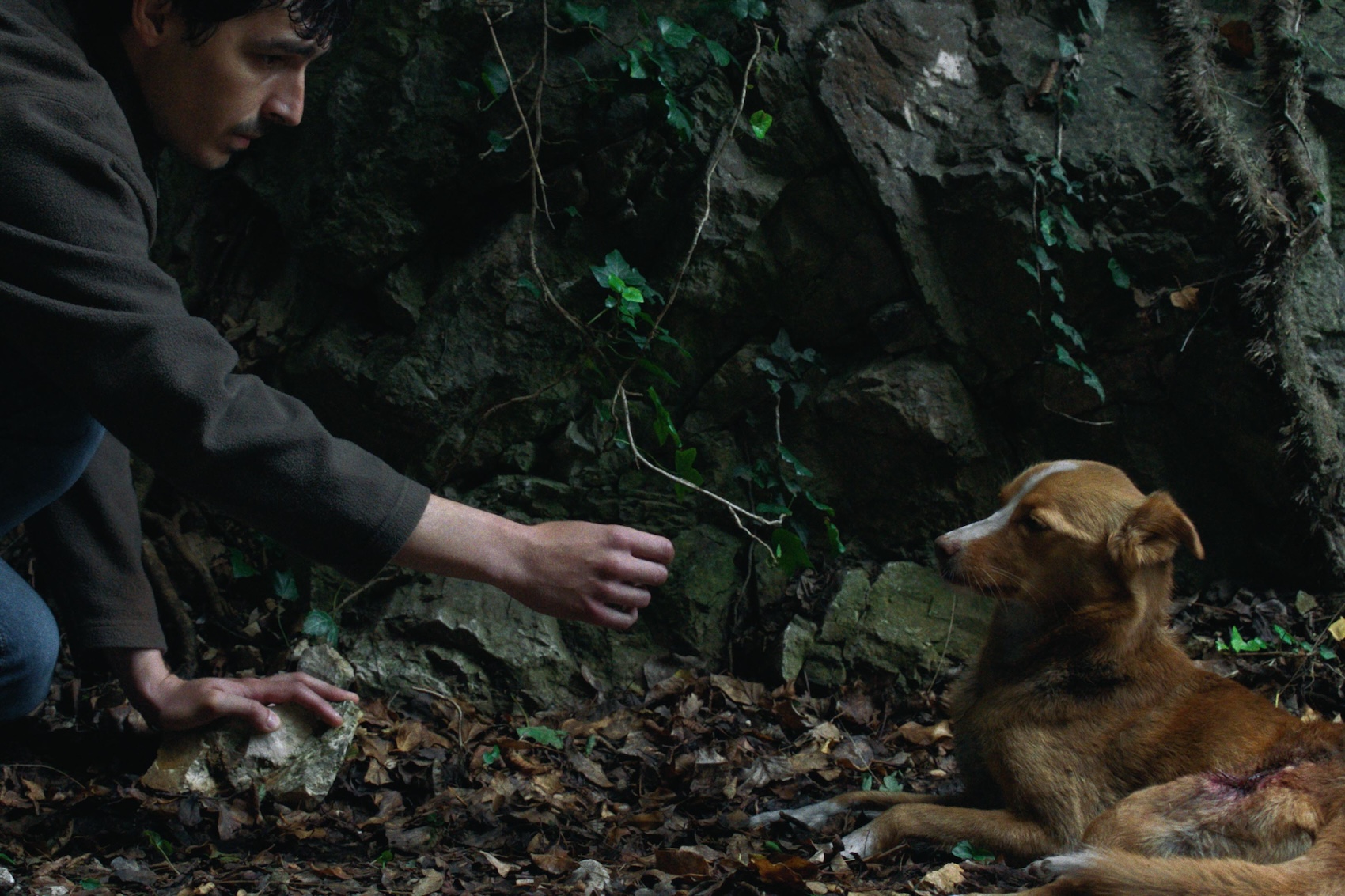 VjetrePricajSaMnom-Hello Magazin Croatia Hrvatska