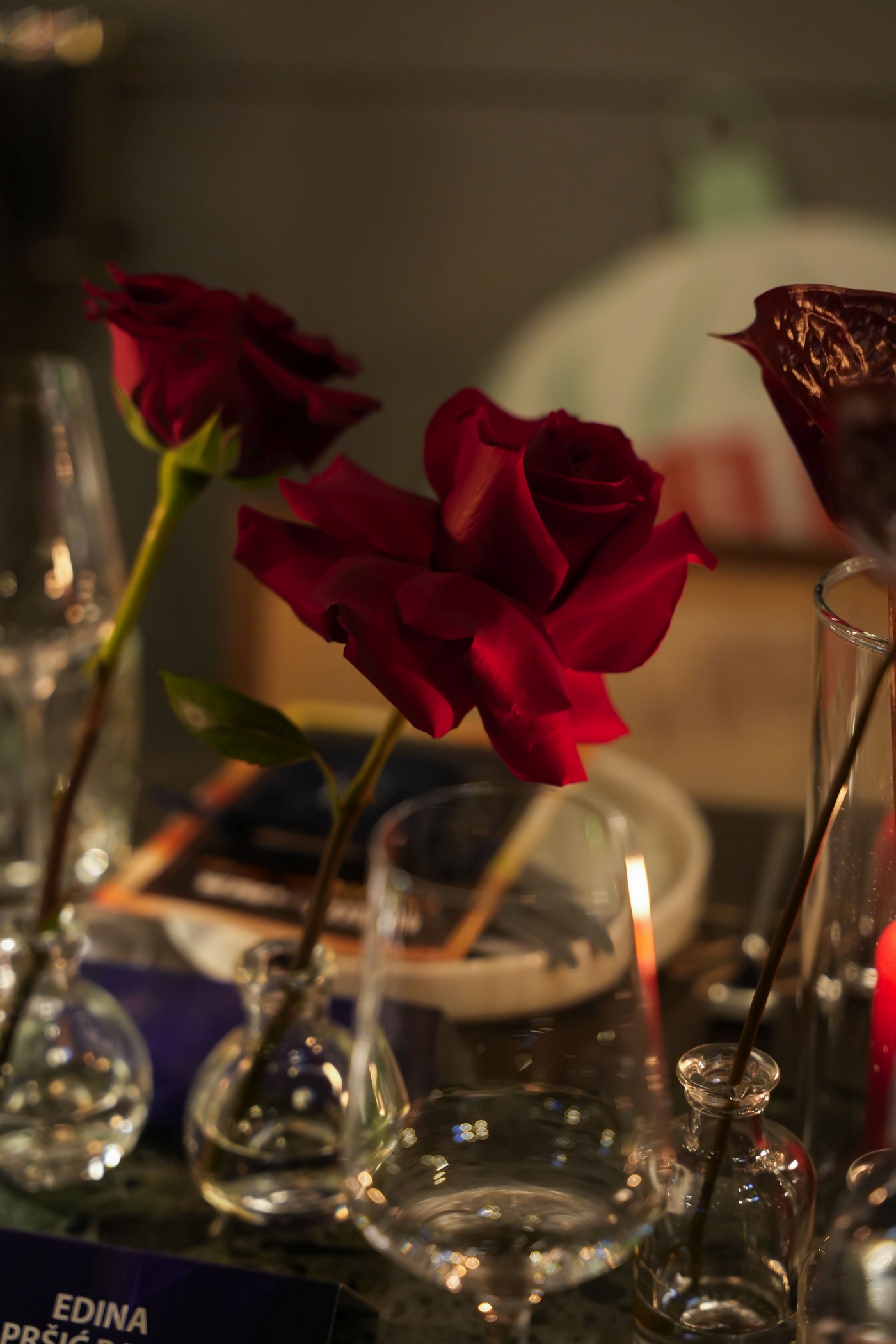 hello gala večera 2025