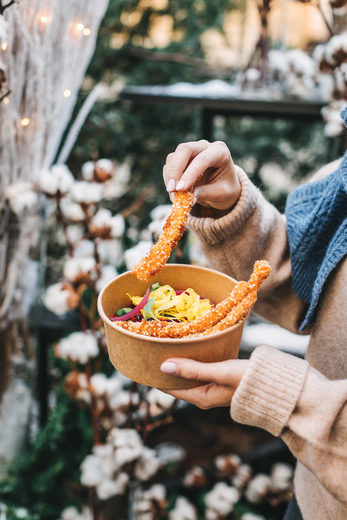 advent u zagrebu fuliranje hotel esplanade