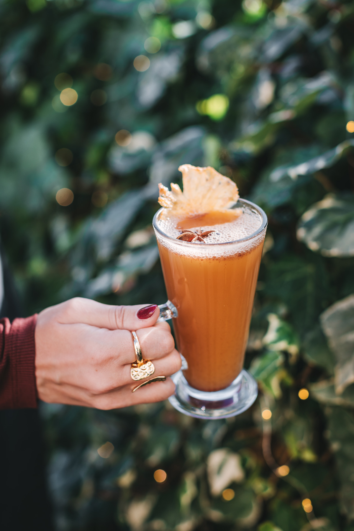 advent u zagrebu fuliranje hotel esplanade