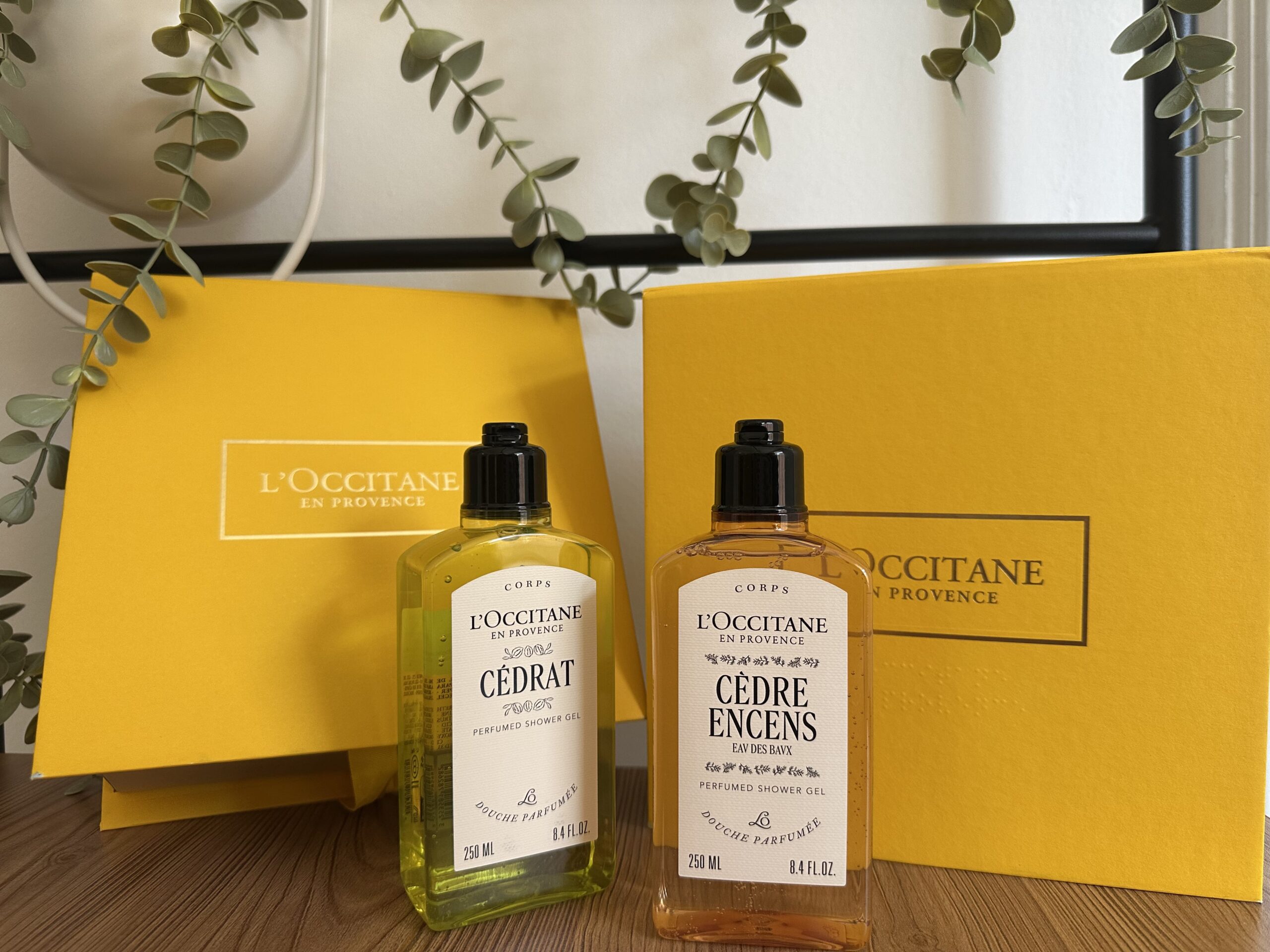 L'Occitane muška kolekcija